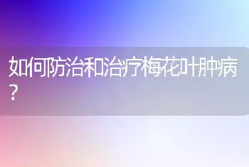 如何防治和治疗梅花叶肿病？