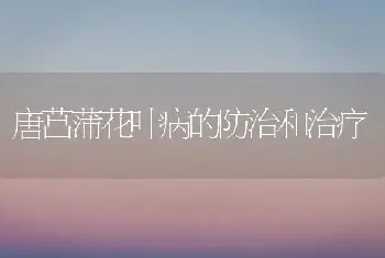 唐菖蒲花叶病的防治和治疗