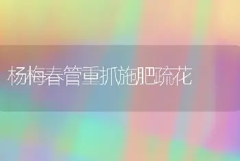 杨梅春管重抓施肥疏花