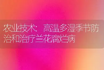 农业技术:高温多湿季节防治和治疗兰花腐烂病