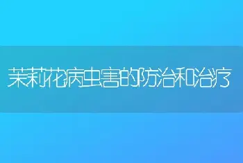 茉莉花病虫害的防治和治疗