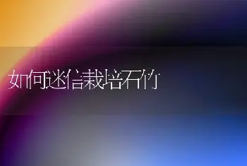 如何迷信栽培石竹