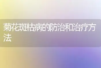 菊花斑枯病的防治和治疗方法