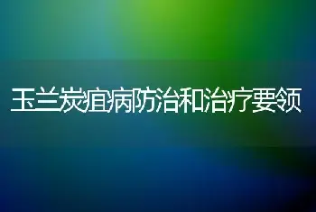 玉兰炭疽病防治和治疗要领