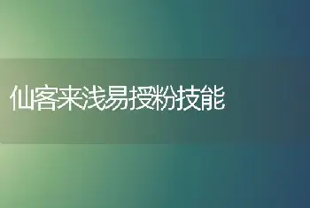 仙客来浅易授粉技能