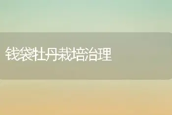 钱袋牡丹栽培治理