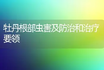 牡丹根部虫害及防治和治疗要领