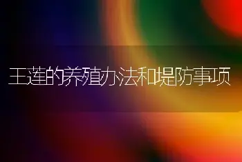 王莲的养殖办法和堤防事项