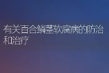 有关百合鳞茎软腐病的防治和治疗