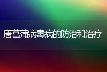 唐菖蒲病毒病的防治和治疗