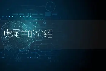 文竹的栽培滋生手艺