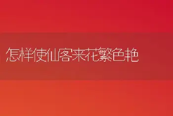 怎样使仙客来花繁色艳