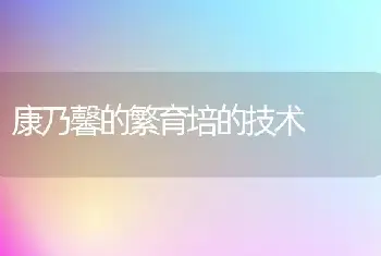 康乃馨的繁育培的技术