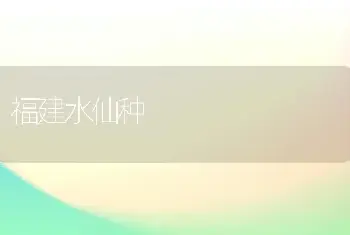 百合炭疽病的防治和治疗措施