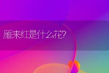 雁来红是什么花？