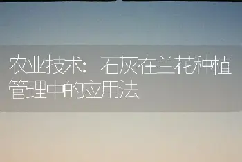 农业技术:石灰在兰花种植管理中的应用法