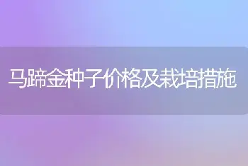 马蹄金种子价格及栽培措施