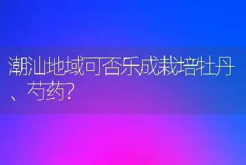 潮汕地域可否乐成栽培牡丹、芍药？