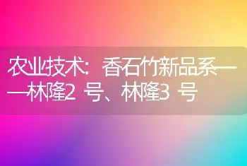 农业技术:香石竹新品系――林隆2号、林隆3号