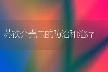 苏铁介壳虫的防治和治疗