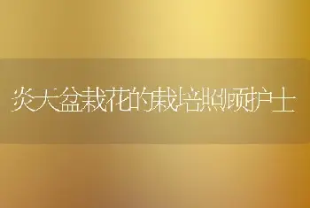 凤仙花褐斑病