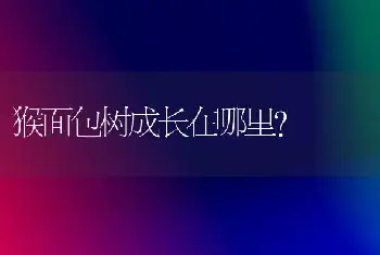 猴面包树成长在哪里？