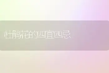 杜鹃花的四宜四忌