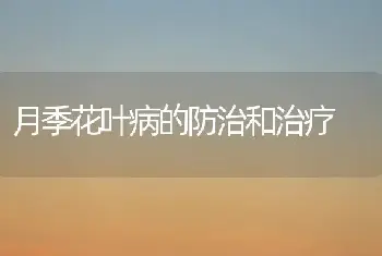 月季花叶病的防治和治疗