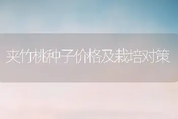 夹竹桃种子价格及栽培对策