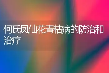 何氏凤仙花青枯病的防治和治疗