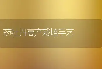 药牡丹高产栽培手艺