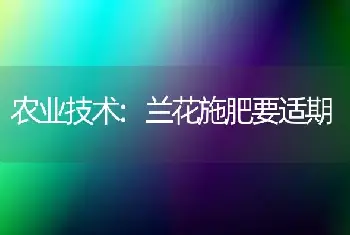 农业技术:兰花施肥要适期