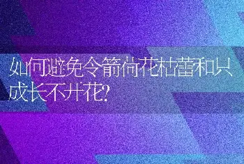 如何避免令箭荷花枯蕾和只成长不开花？