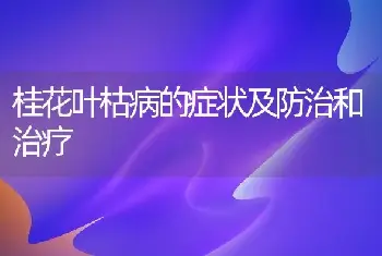 桂花叶枯病的症状及防治和治疗