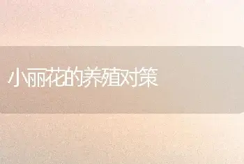 小丽花的养殖对策