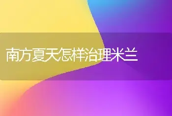 南方夏天怎样治理米兰