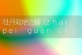 牡丹栽培治理（zhai pei guan li）