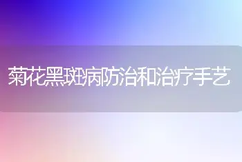 菊花黑斑病防治和治疗手艺