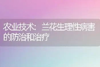 农业技术:兰花生理性病害的防治和治疗