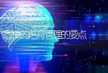 香樟的培育管理的要点