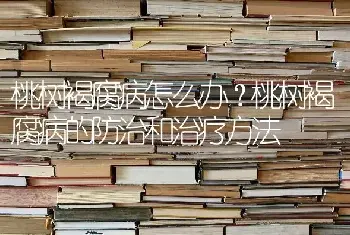 桃树褐腐病怎么办？桃树褐腐病的防治和治疗方法