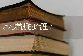 水杉苗期的治理？