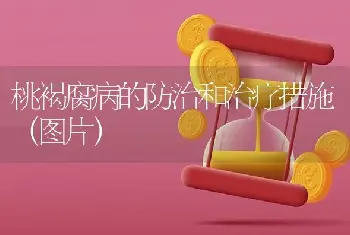 桃褐腐病的防治和治疗措施（图片）