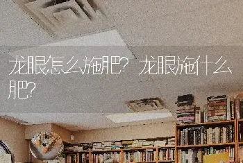 龙眼怎么施肥？龙眼施什么肥？