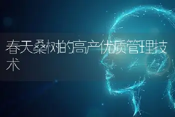 春天桑树的高产优质管理技术