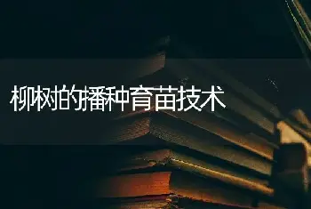 柳树的播种育苗技术