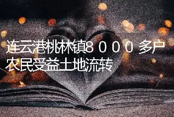 连云港桃林镇8000多户农民受益土地流转