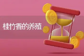 桂竹香的养殖