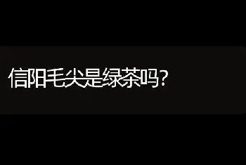 信阳毛尖是绿茶吗？