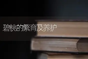 碧桃的繁育及养护